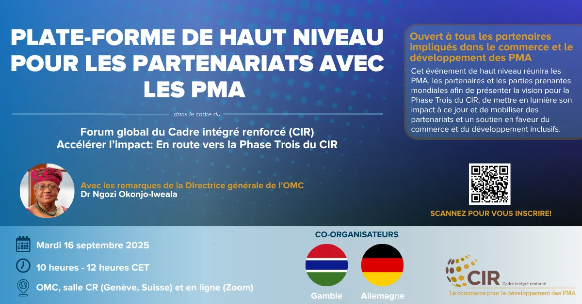 Flyer High-Level Platform for LDC Partnerships