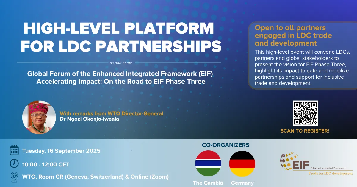 Flyer High-Level Platform for LDC Partnerships