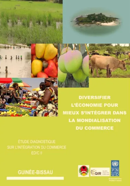 Guinea Bissau DTIS cover page