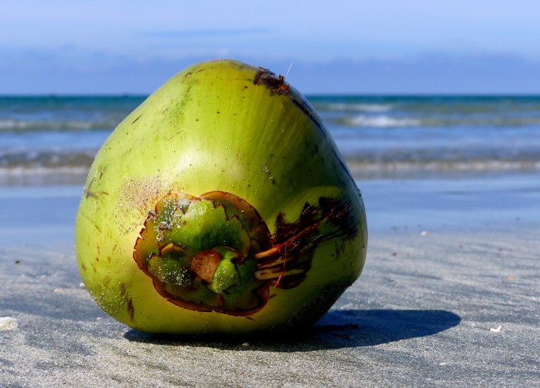 Samoa going global with coconuts