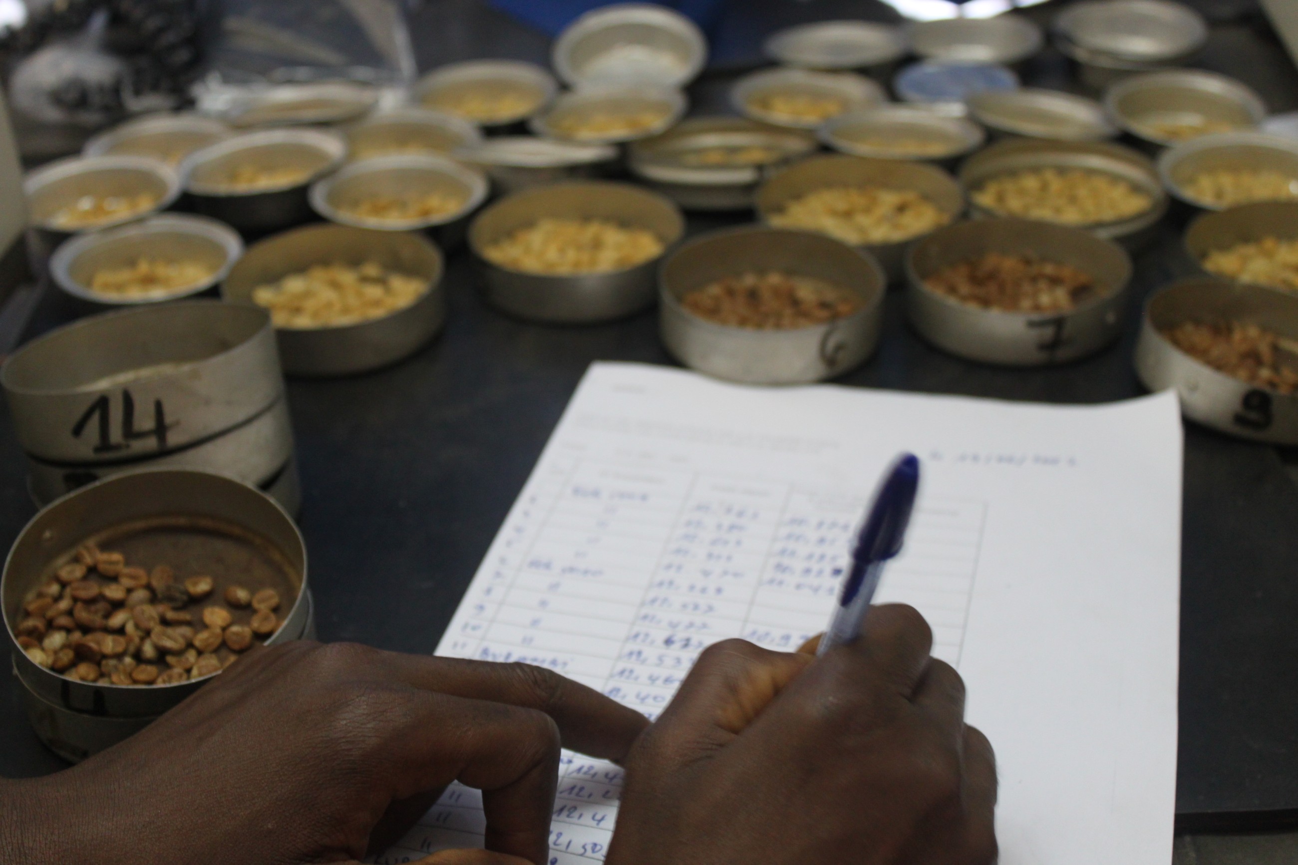 Kiribati is overcoming challenges integrating into the global trading ...